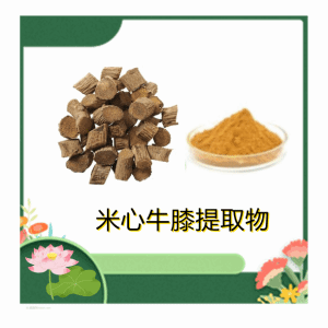 米心牛膝提取物 米心牛膝粉 10:1多规格 水溶