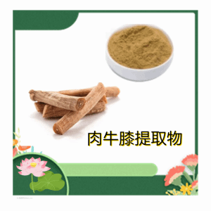 肉牛膝提取物 六盘韵生