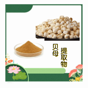 贝母提取物10:1水溶贝母粉 食品原料