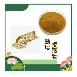 勤母提取物10：1