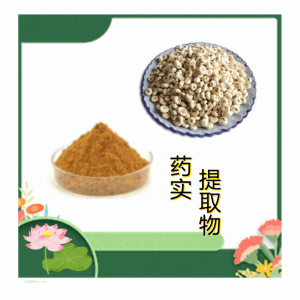 药实提取物 药实粉 10:1多规格 水溶 浸膏 厂家现货 量大从优
