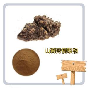 山鞠穷提取物10:1 山鞠穷粉