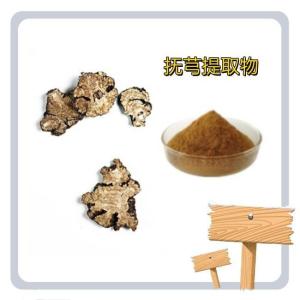 抚穹提取物 抚穹粉 抚穹浸膏