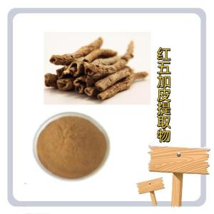红五加皮提取物 10:1 红五加皮粗提物 水溶性红五加皮粉