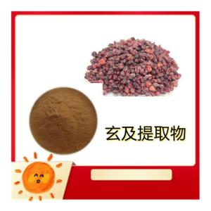 玄及提取物10-1速溶浓缩玄及粉 食品原料 资质齐全