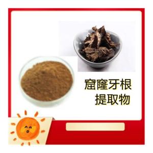 窟窿牙根提取物10-1   窟窿牙根粉