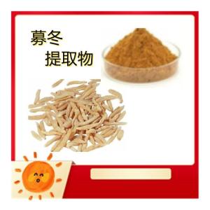 募冬速溶粉 募冬提取物10:1 浸膏