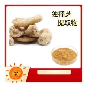独摇芝提取物10:1速溶独摇芝粉 食品原料