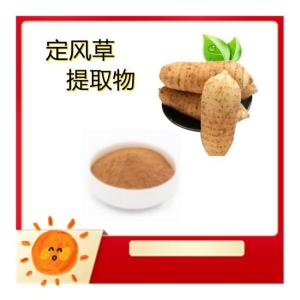 定风草提取物   10:1规格  定风草粉 浸膏粉