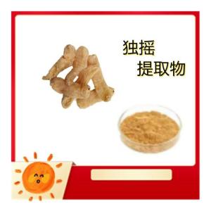 独摇提取物 浓缩粉  膏粉