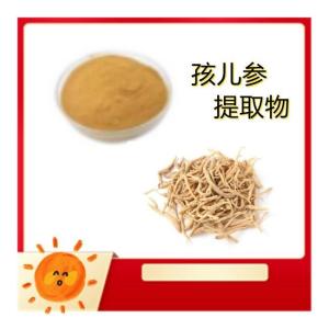 孩儿参提取物10-1 比例萃取