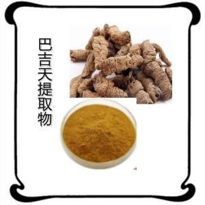 巴吉天粉    巴吉天提取物10:1 可定制