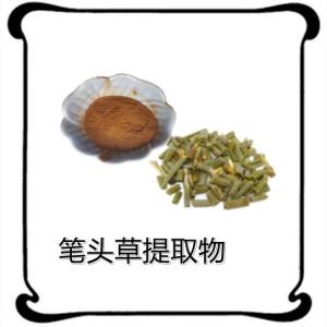 笔头草提取物  10:1多规格 水溶 浸膏 品质稳定