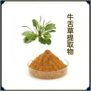 牛舌草提取物30:1 10:1牛舌草生粉 现货 浸膏粉