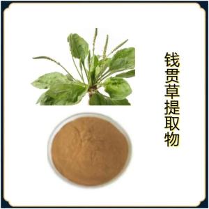 钱贯草提取物10-1  水溶 萃取钱贯草粉