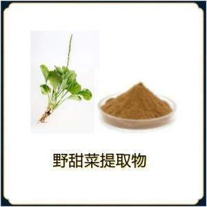 野甜菜提取物  10:1多规格 水溶 浸膏