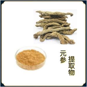 10:1元参提取物 现货天然玄参粉 质量稳定