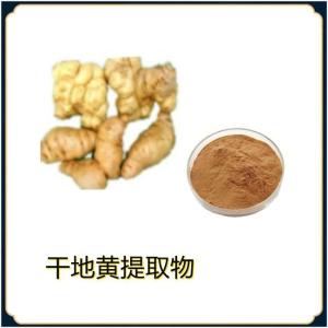干地黄提取物 纯粉 生粉 可定各种规格