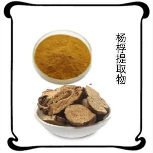 杨桴提取物 100目 速溶粉 提取液