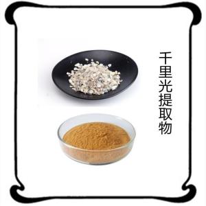 千里光提取物10:1  速溶粉 鲍鱼壳提取物