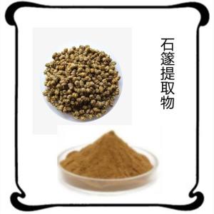 石篴提取物 10:1