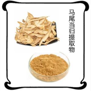 马尾当归提取物 药食同源   水溶粉