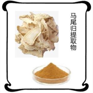 马尾归提取物 植提厂家 源头供应 可定制