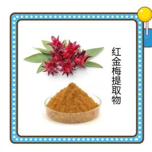 红金梅提取物 水溶性好 粉末细腻无结 自产自销 规格齐全