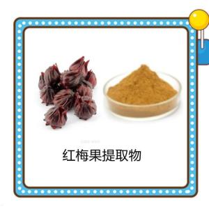 红梅果提取物 六盘韵生物 质量稳定 喷雾干燥工艺