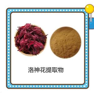 水溶洛神花提取物 新资源食品级原料 水溶性好 长期供应