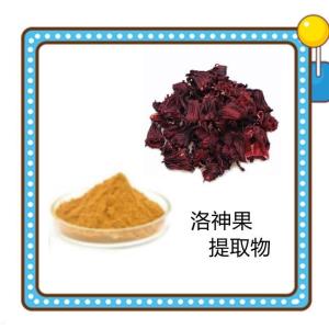 六盘韵 洛神果提取物 水溶性好