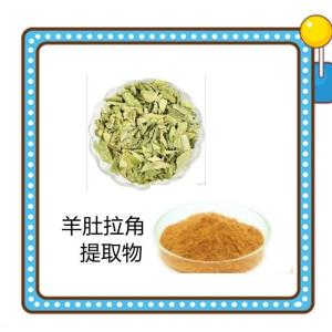 羊肚拉角提取物   水溶    浸膏粉
