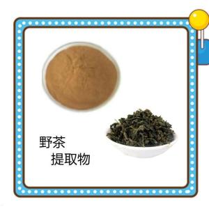 野茶提取物10-1 萃取野茶粉 