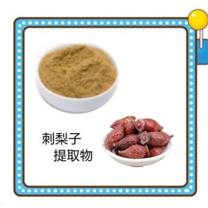 刺梨子提取物10：1 刺梨子水溶粉 现货供应
