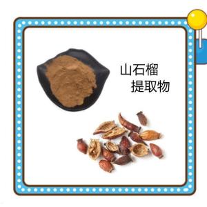速溶山石榴提取物 喷雾干燥粉 水溶性好