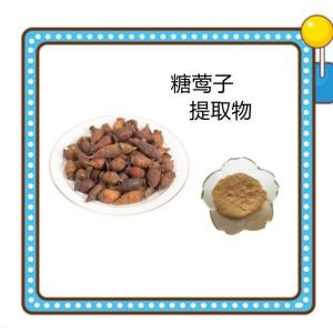 糖莺子提取物   可定制