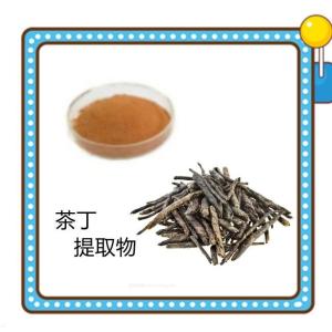 茶丁提取物 比例水溶浓缩萃取