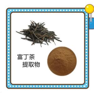   富丁茶提取物10-1 