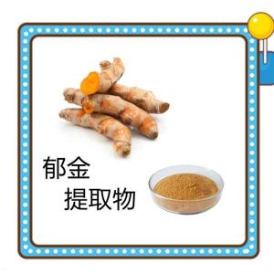 六盘韵供应 郁金提取物   可定制 支持免费拿样库存充足