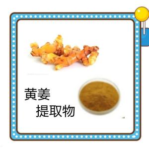 黄姜提取物  食品级 水溶性好