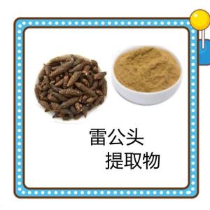 雷公头提取物 源头供应水溶性雷公头浓缩粉 植物萃取