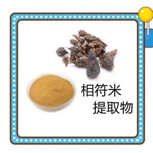 粉末无结块 相符米提取物 全水溶 喷雾干燥工艺