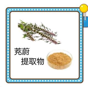茺蔚提取物  六盘韵生产  原料工厂