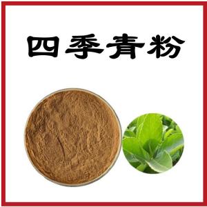 四季青粉 粉末溶于水后澄清透亮 可定制