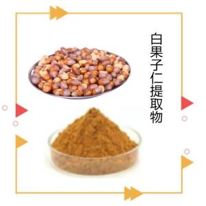白果子仁提取物 质量稳定 水溶性好 六盘韵供应 10:1规格