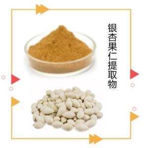 银杏果仁提取物 可定制 生产厂家 资质