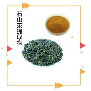 石山茶提取物    浓缩粉
