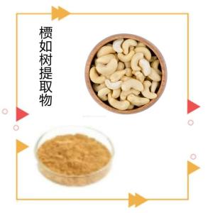 槚如树提取物  厂家供应 水溶性槚如树粉