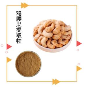 鸡腰果提取物 水溶 10:1 可定制
