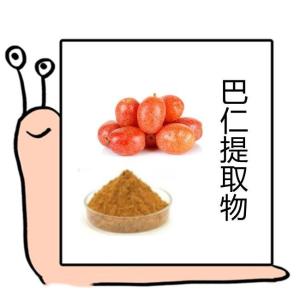 巴仁提取物 水溶性巴仁浓缩粉 植物萃取 比例浓缩